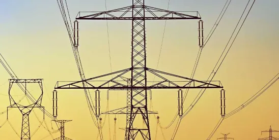 Electricity Market Participants on Notice- AER Releases Guidance on Automated Bidding and Third-Party Services