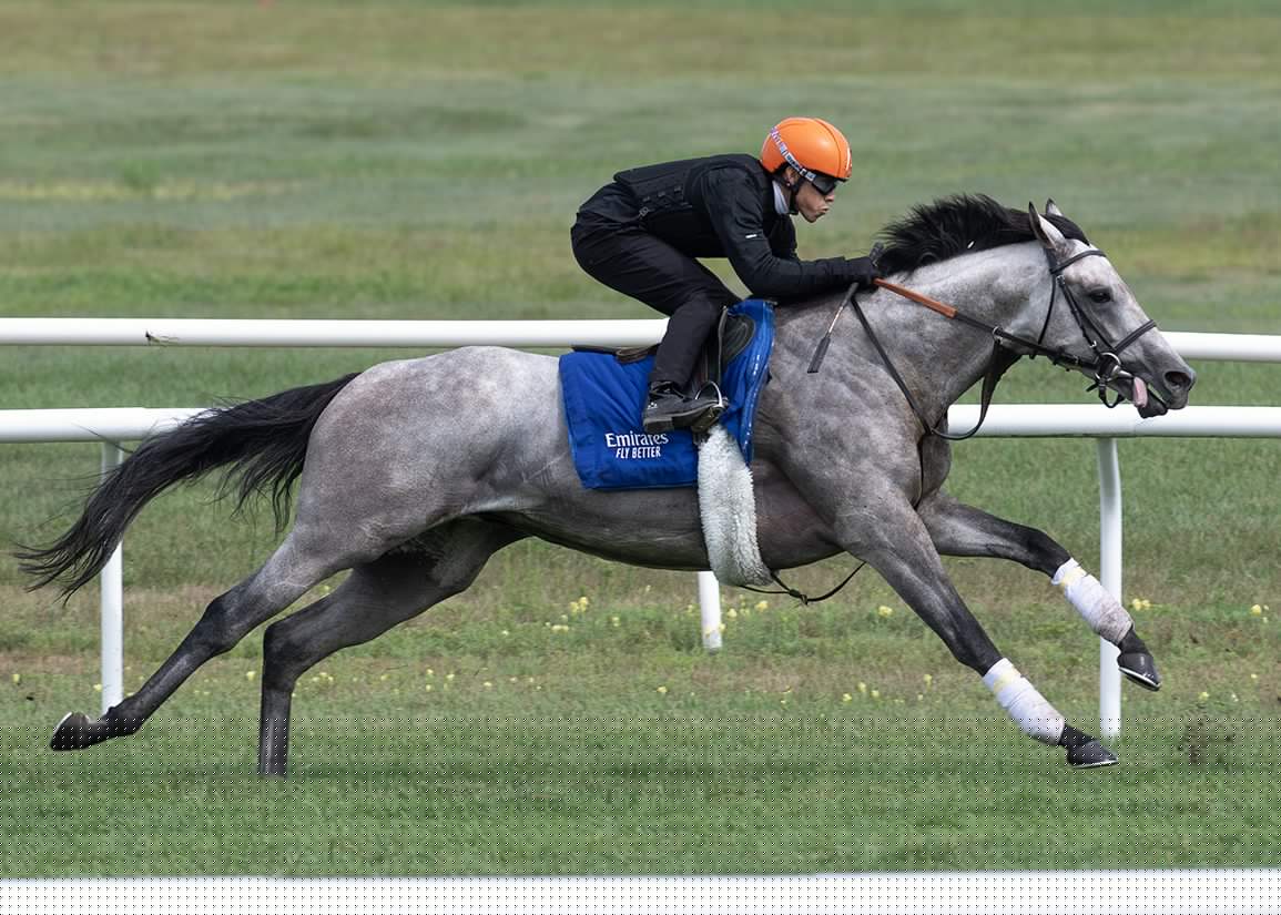 Pacific Avenue Injured And Ruled Out Of Saturday’s GI Saratoga Derby