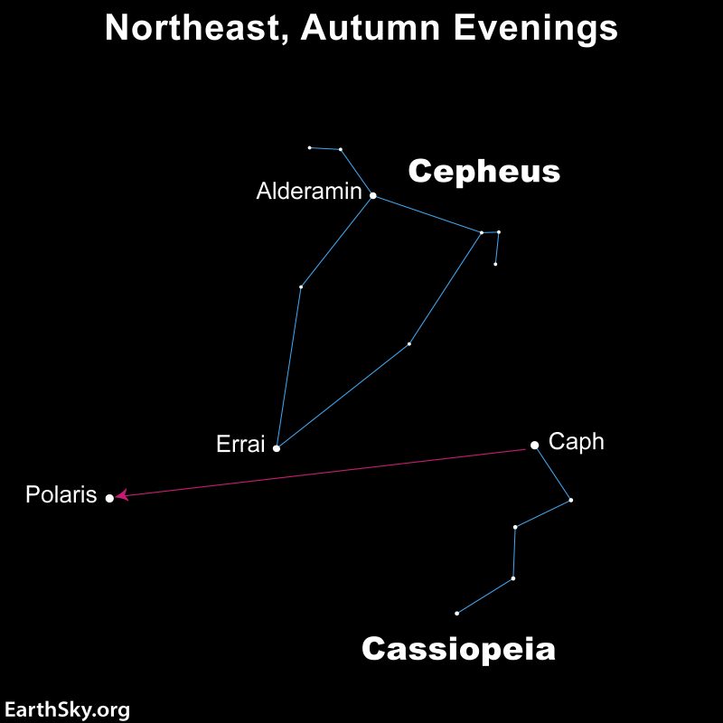 Gamma Cephei, aka Errai, a future North Star