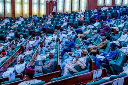Drama as lawmaker’s honorary doctorate sparks debate at plenary