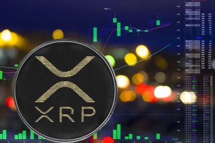 Is Something Big Brewing as XRP Millionaire Wallets Surge Back to Life?