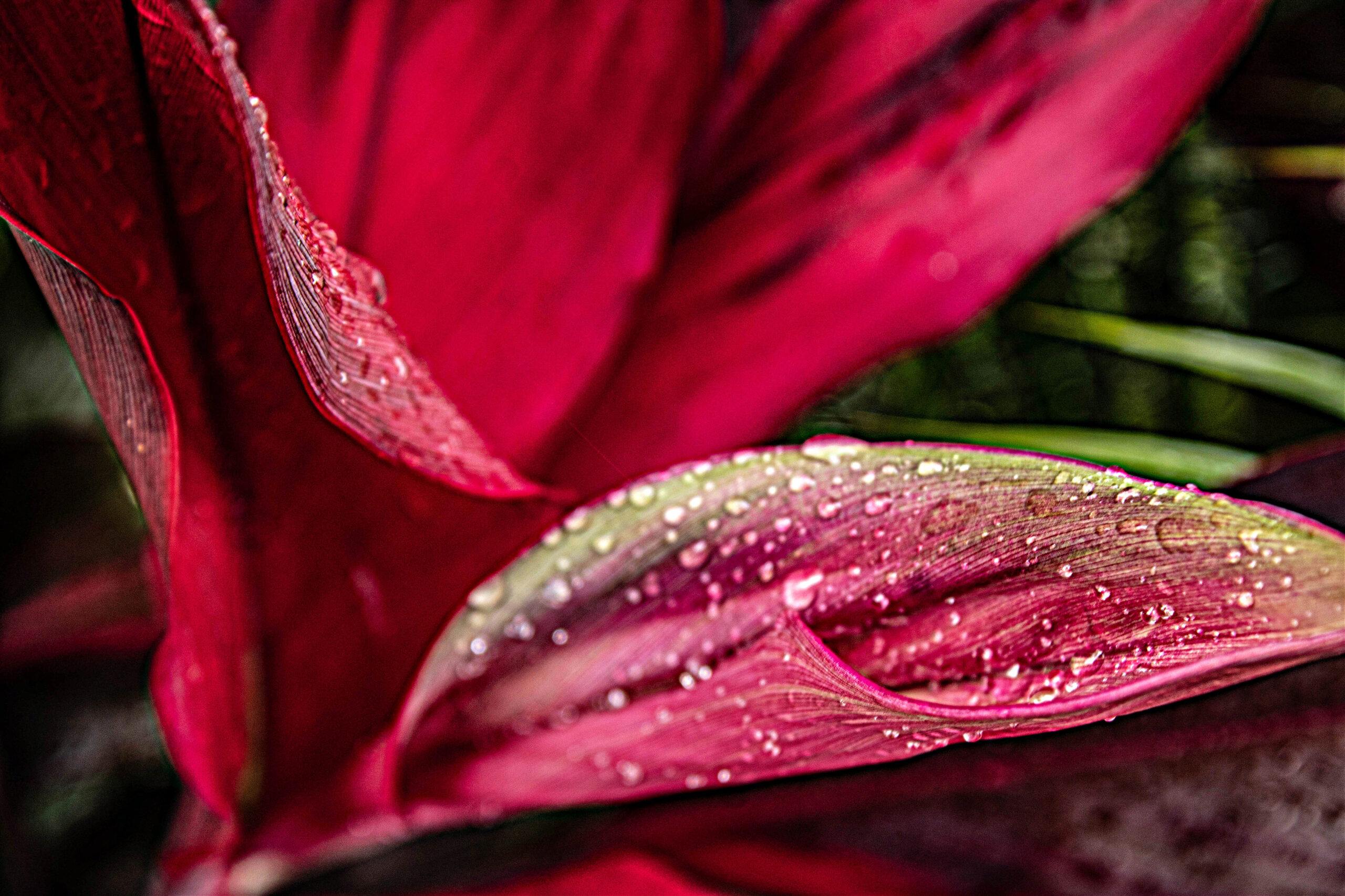 Natural Contrasts, Street Humour, Solitude And More – The Weekly Community Roundup