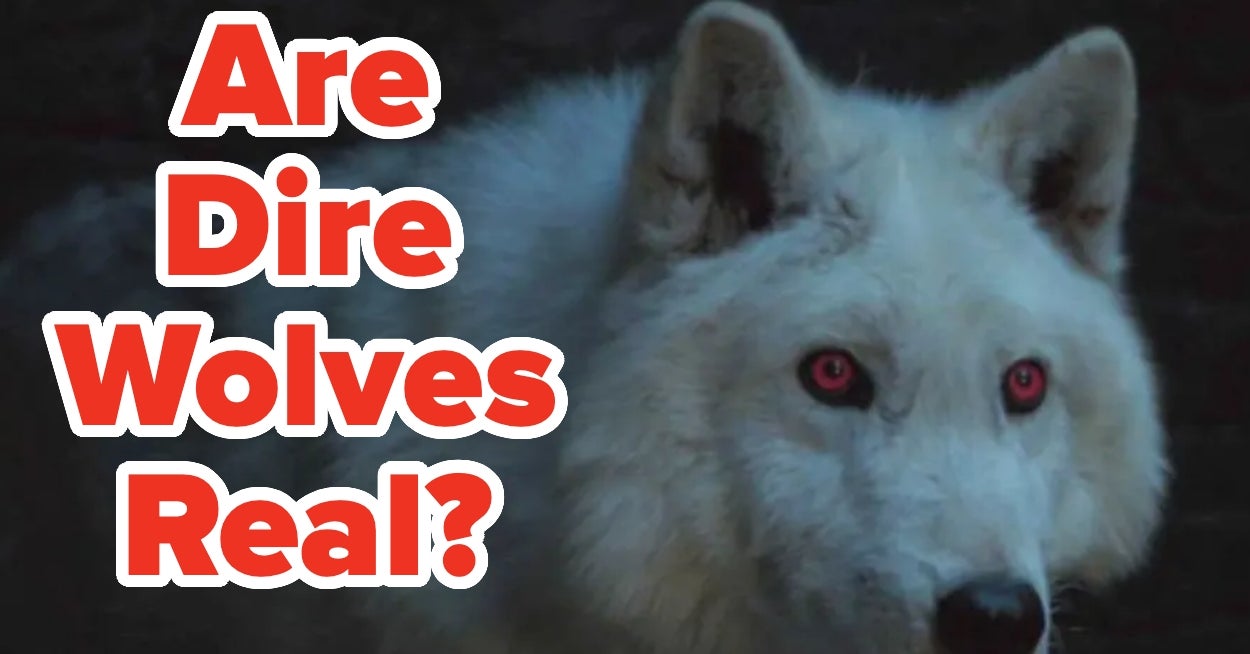 If You Can Figure Out Whether These Animals From Movies And TV Shows Are Real Or Fictional, Your Brain Is Working At Full Capacity