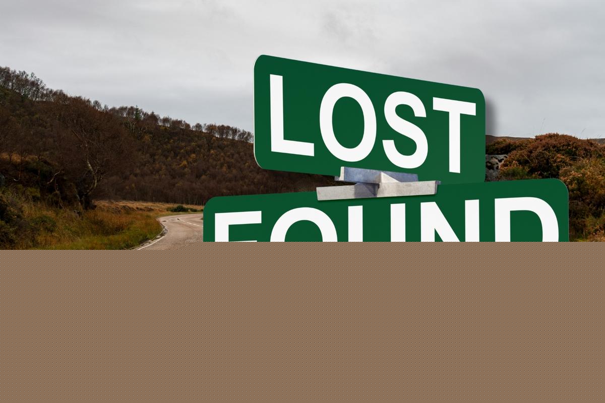 The Weirdest Things Seen on Washington Roads