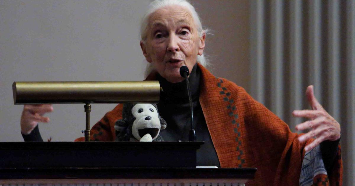 Here's Why Dr. Jane Goodall Stopped Eating Meat in the '60s