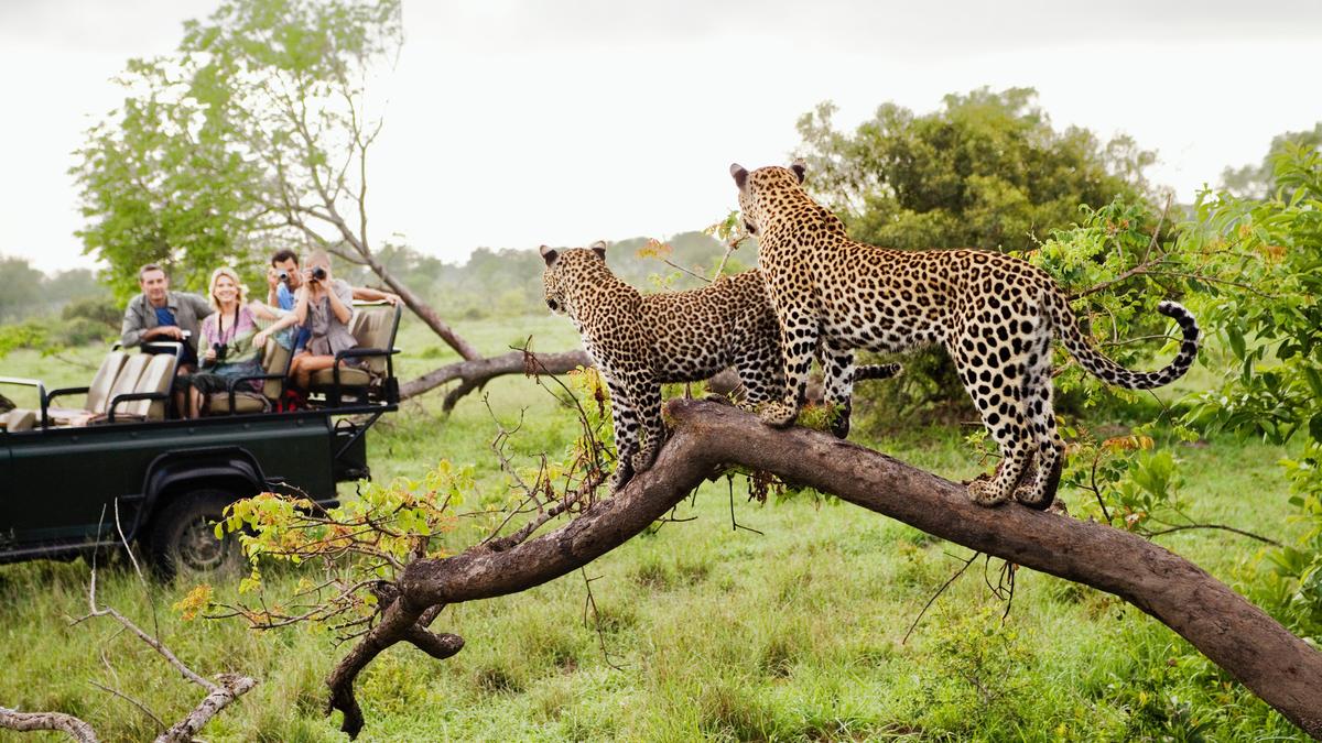 Club Med adds another string to its bow with upcoming South Africa debut