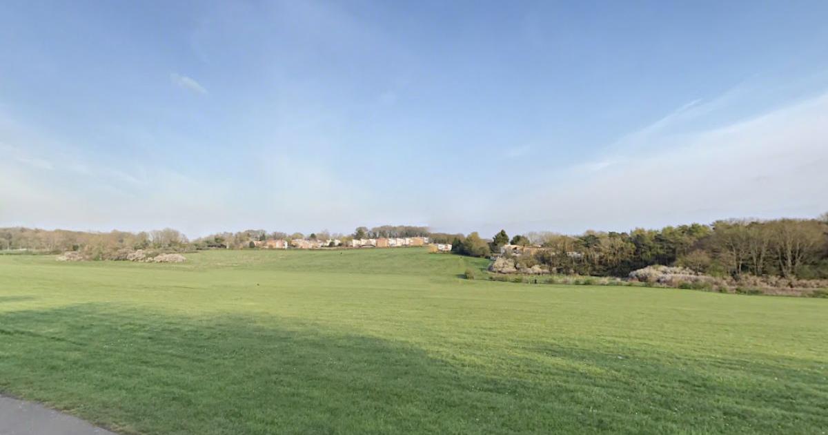 Stevenage parkrun results: 51 personal bests at event number 465