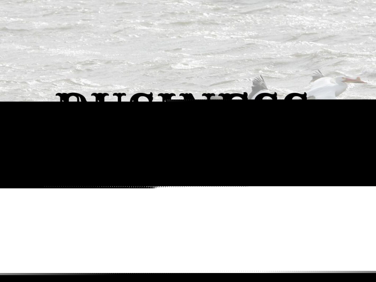 P&A launches online Service Directory to connect individuals with resources in North Dakota