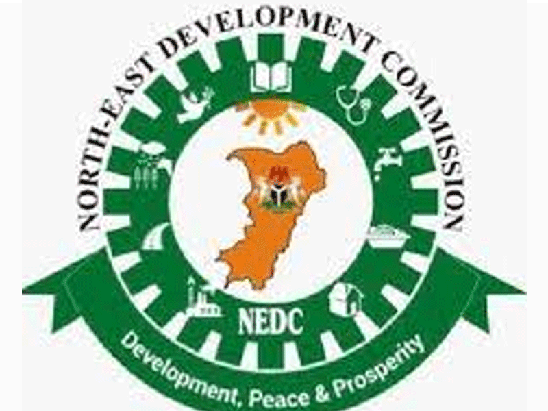 Alleged N2.2bn Contract Fraud: NEDC Project Coordinator, Another Remanded in Suleja Facility