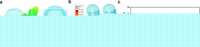 No Sense Of Smell? Try Radio Waves