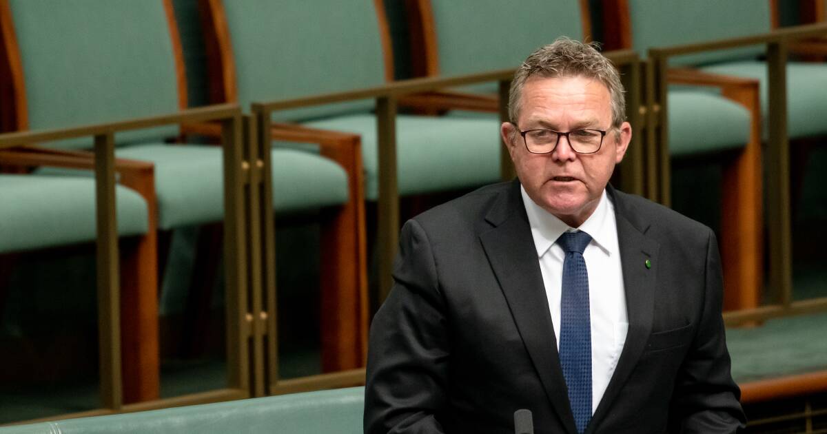 Boyce pins One Nation surge on Littleproud as leadership challenge looms