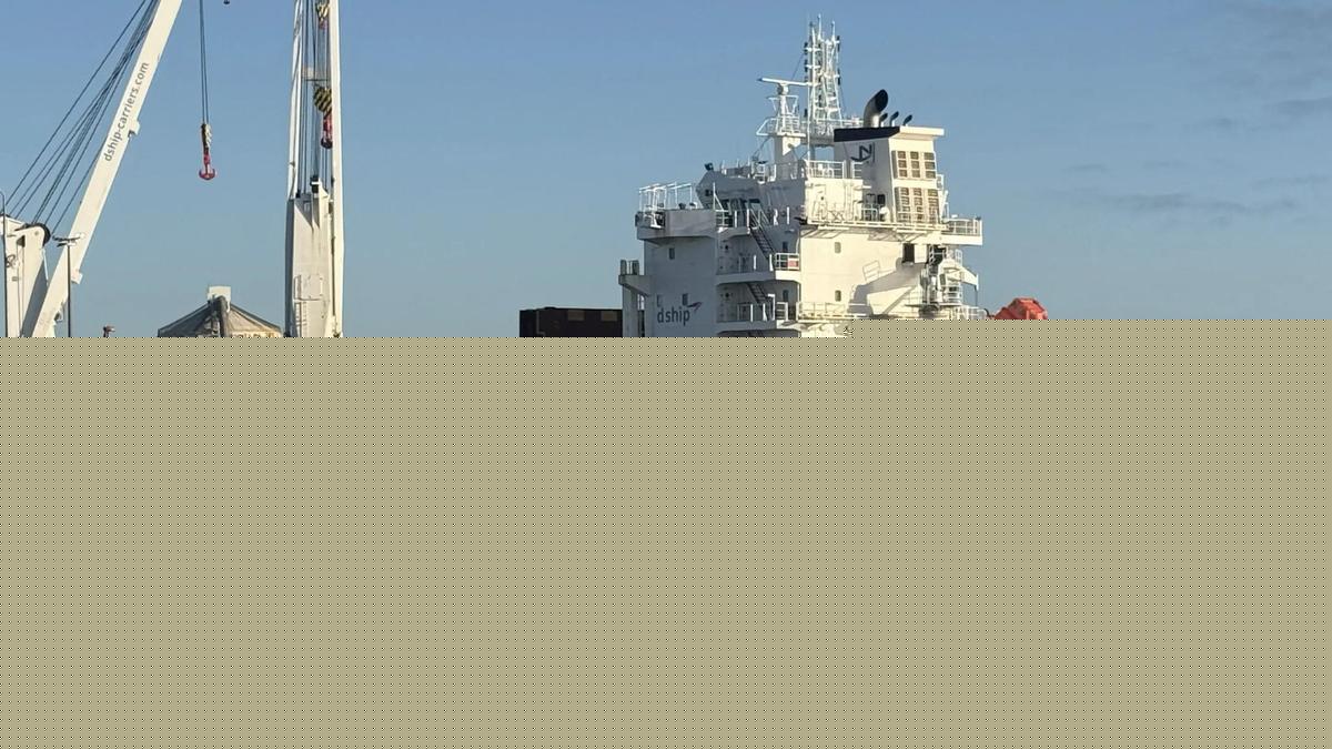 Worker killed by falling metal beam on ship at Mackay harbour