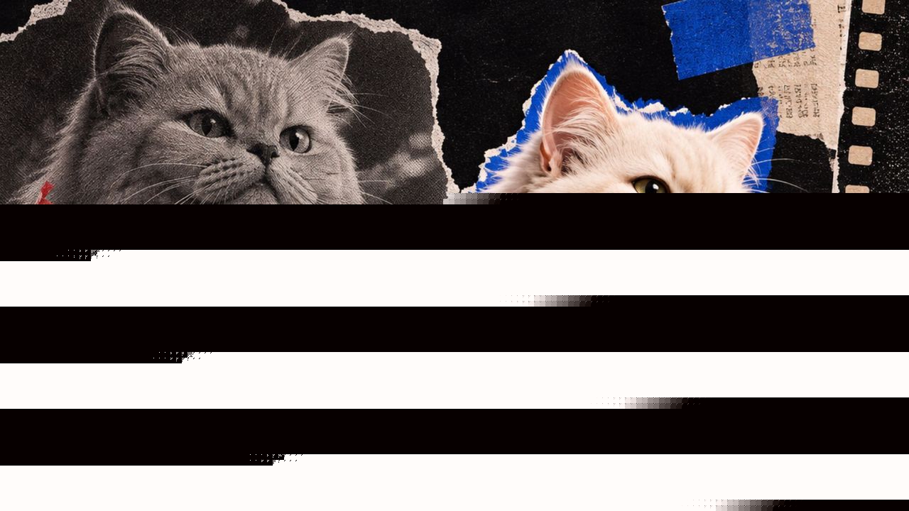 Move over K-Dramas, AI cats are serving better plot twists on Instagram