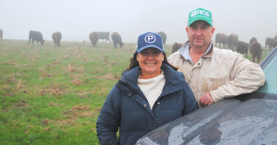 How an unusual composite breed is delivering producers 20 per cent more beef