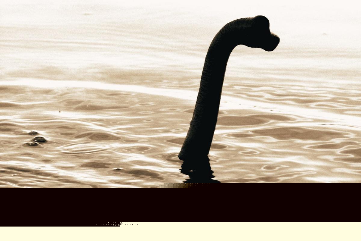 Is There a Monster Lurking in Caddo Lake, Louisiana?