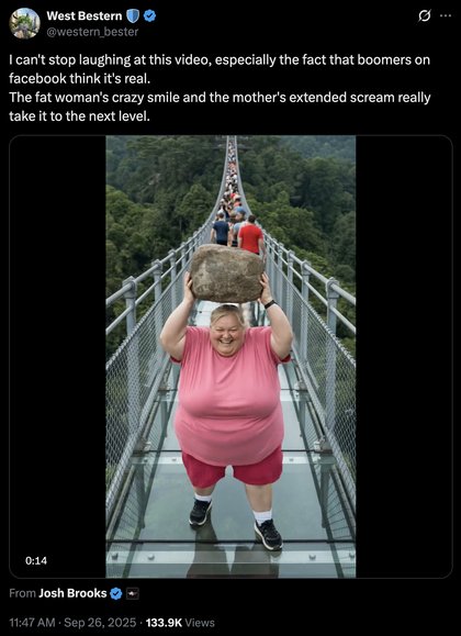 AI Lady With Rock Breaking Glass Bridge - I can't stop laughing at this video, especially the fact that boomers on facebook think it's real.