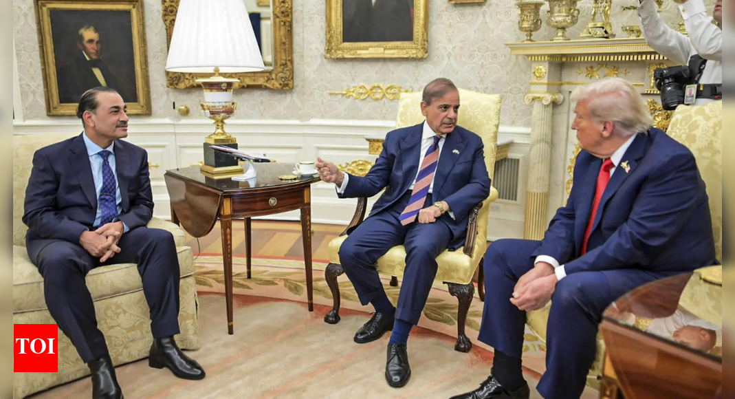 Pak kowtows to US: After rare earth & crypto, Munir offers port to Trump