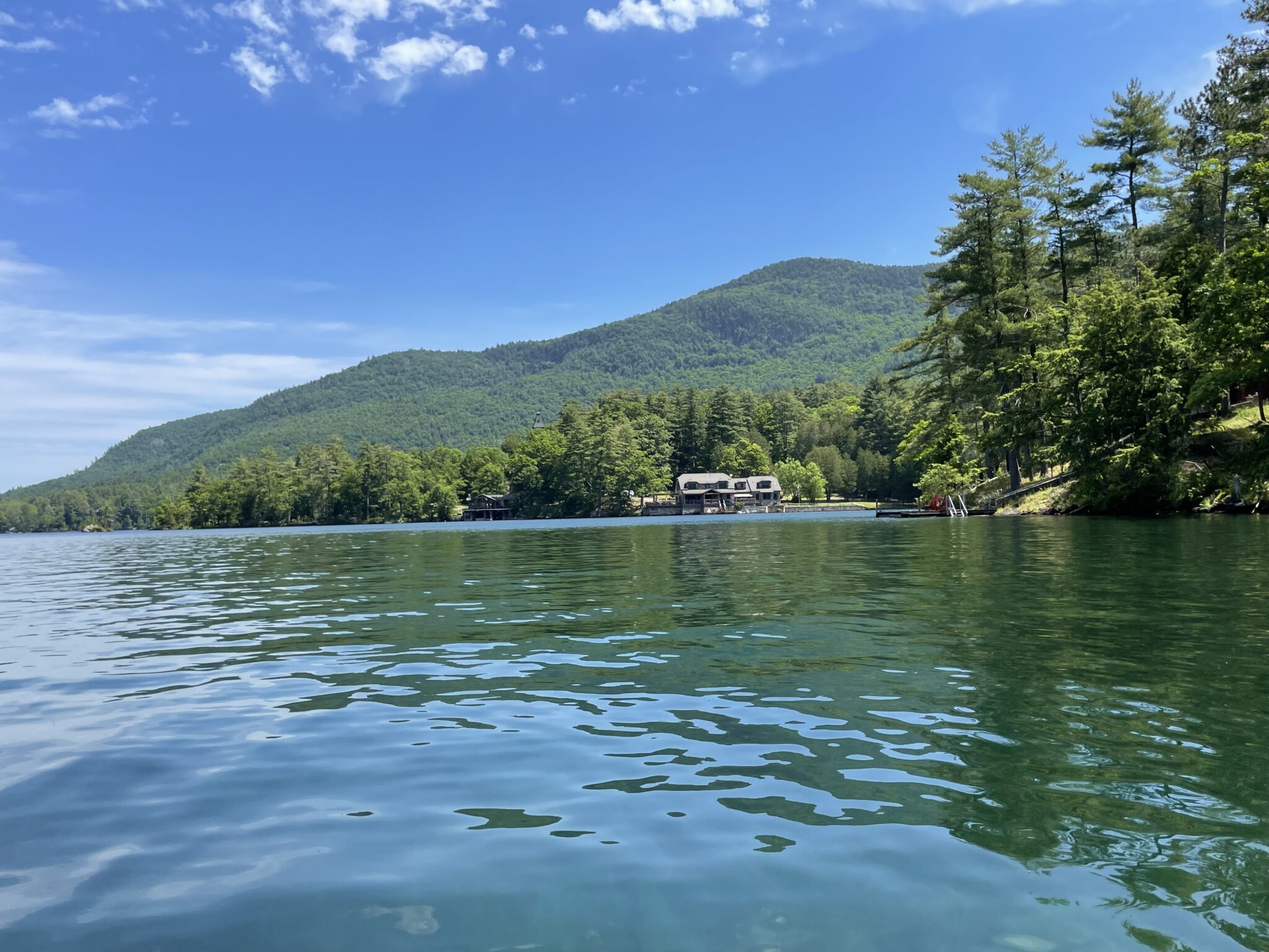 Study finds ProcellaCOR in Lake George sediments a year later