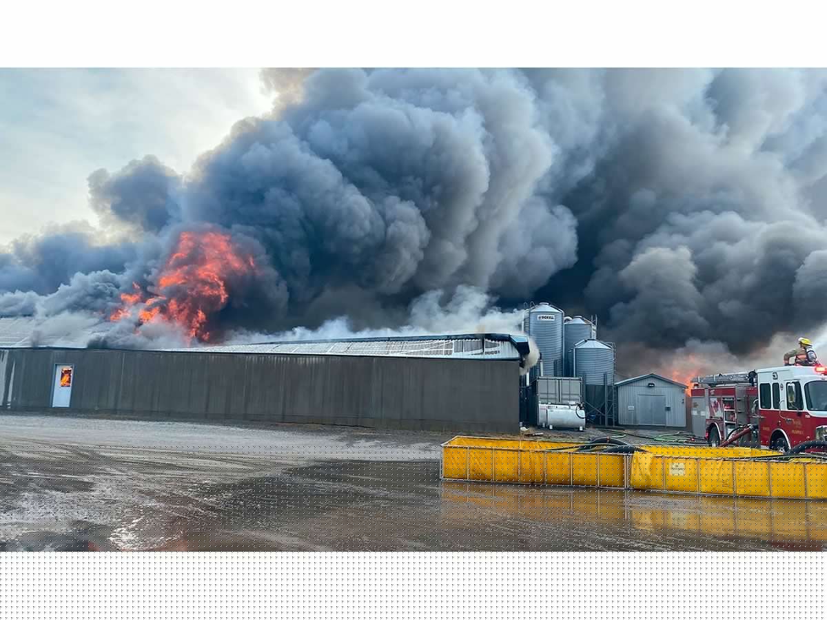 Key questions still unanswered after massive pig barn fire near Simcoe