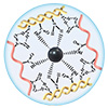 Gelatin stabilizes liquid metal in conductive hydrogels for sensing and energy harvesting