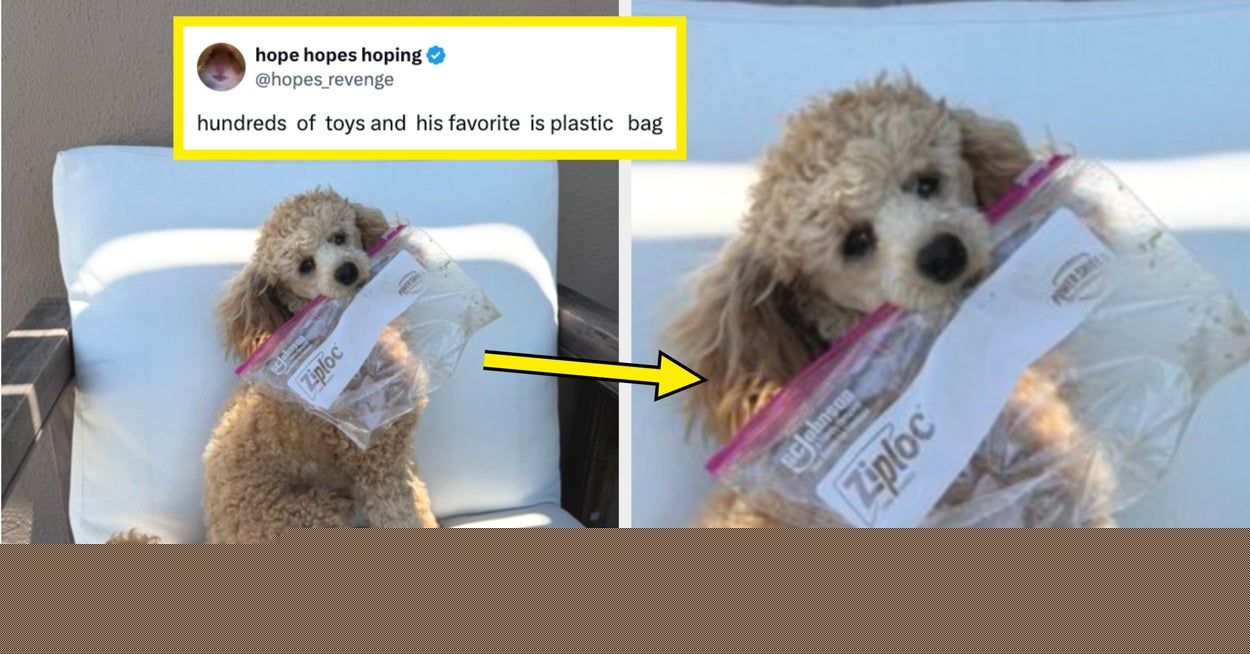 "I WAS THE PATIENT": These 39 Hysterical Fails From Last Week Will Make You Laugh So Hard You'll Completely Forget That The Sky Is Full Of Smoke And Lettuce Is Poison
