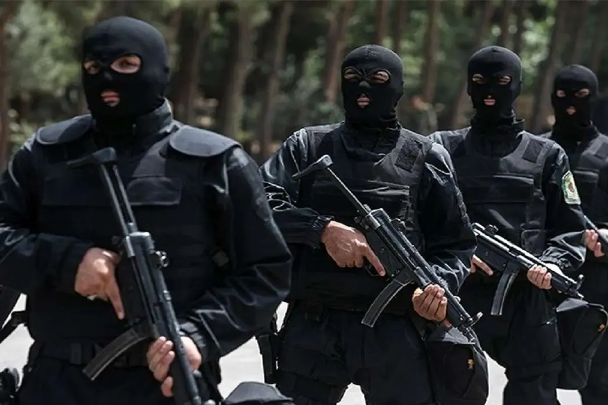لحظه خلع سلاح گروگانیگر خیابان ولیعصر توسط پلیس نوپو