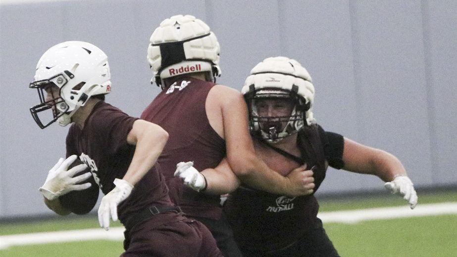 DCTF provides in-depth projections for Lions in Class 4A Division II Region IV