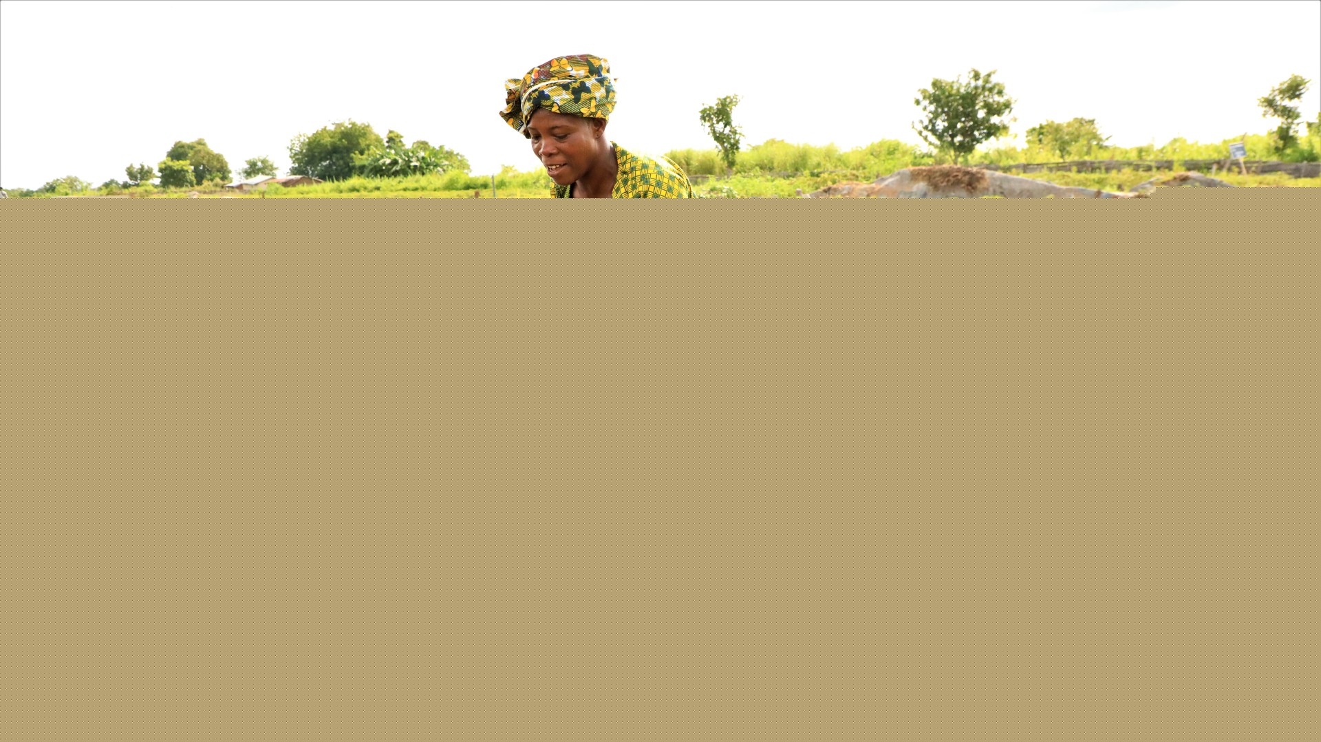 Comment on Rock Phosphate: A Goldmine for Improving Soil Fertility in West Africa   by Agriculture durable : Importance de l’activation du phosphate naturel pour renforcer la fertilité des sols en Afrique de l’Ouest - AGROCLIMATIQUE TOGO