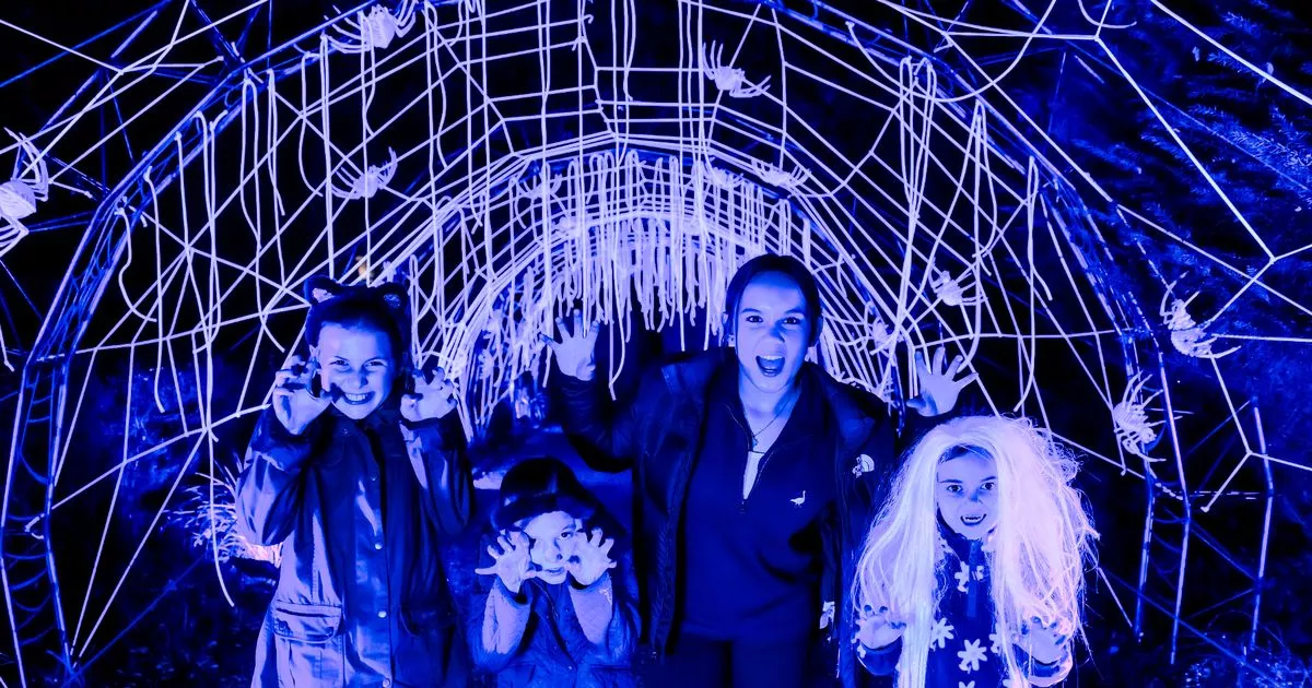 Halloween events around Cambridgeshire including lights trail at popular National Trust site