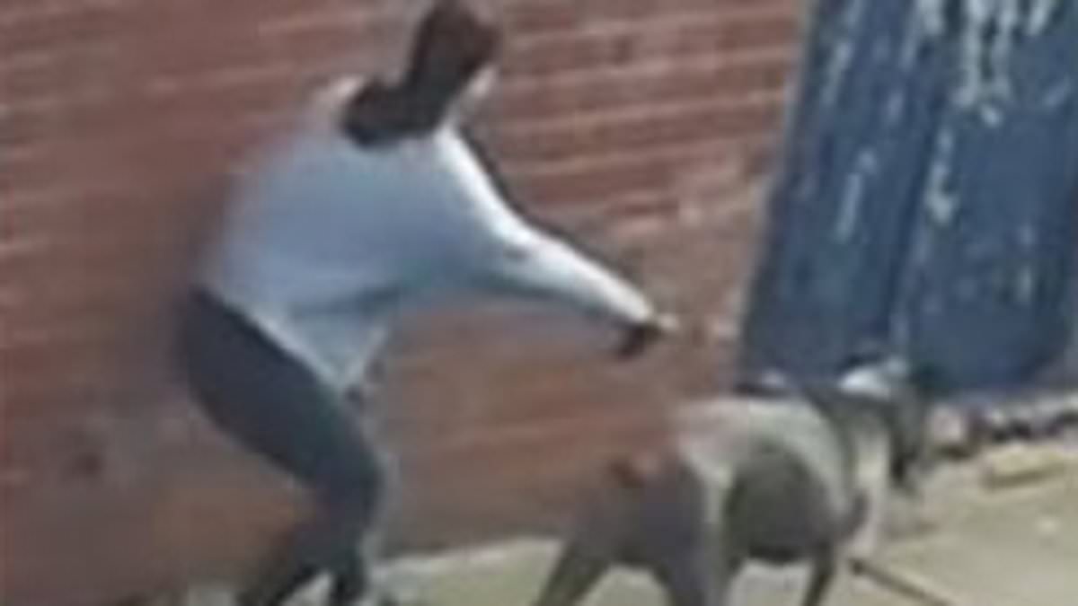 Children, aged six and 11, rushed to hospital after being attacked by a dog at playground: Police release CCTV