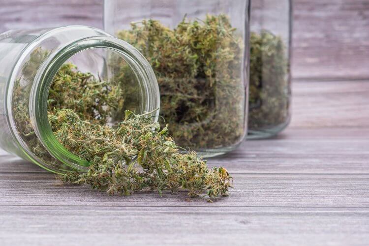 California Tax Agency Seizes $168M in Illicit Cannabis and Tobacco Since 2019