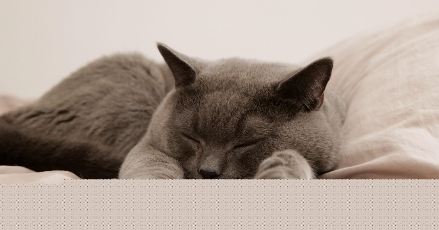 How to Get a Good Night's Sleep Without Trying too Hard