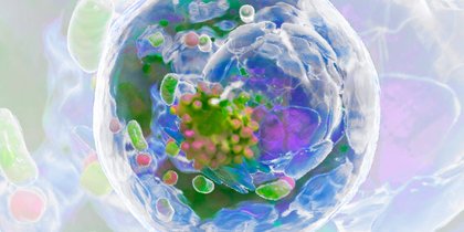 A Secret Time Capsule Inside Human Cells Can Record the Past, Scientists Say