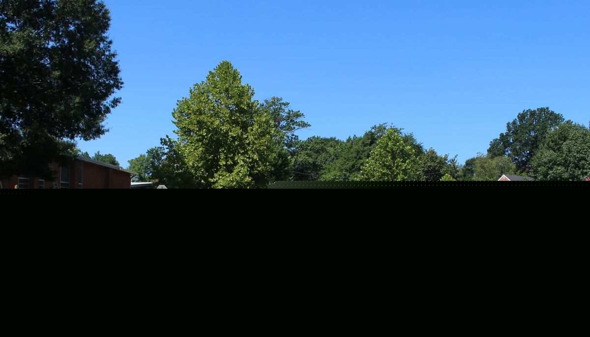 Waldorf school plan to buy land off Brookland Parkway for parking lot riles neighbors