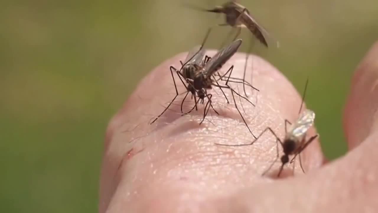 Milwaukee County human case of West Nile Virus; reported in North Shore