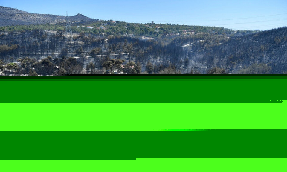 WWF: Κάηκαν 180.000 στρέμματα σε λίγες μέρες στην Ελλάδα