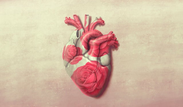 How Heart Scars Trigger Dangerous Heart Rhythm Disease