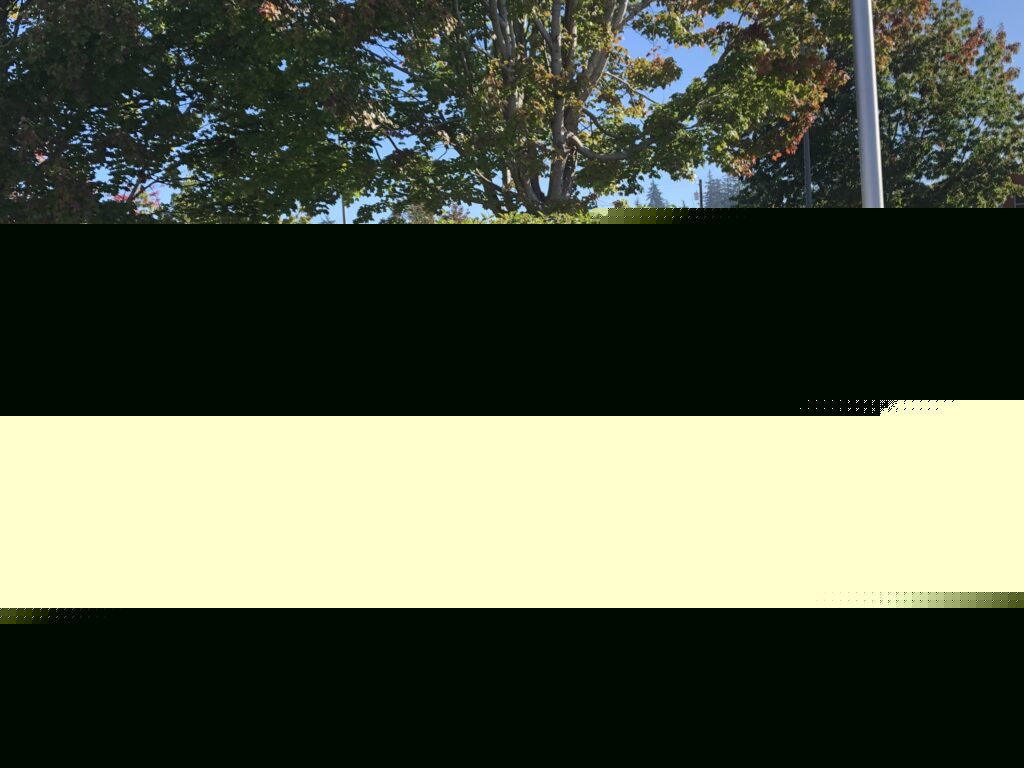 Comment on Council to review tree code amendments, consider extending school zone speed cameras for 24/7 use by Nick Maxwell