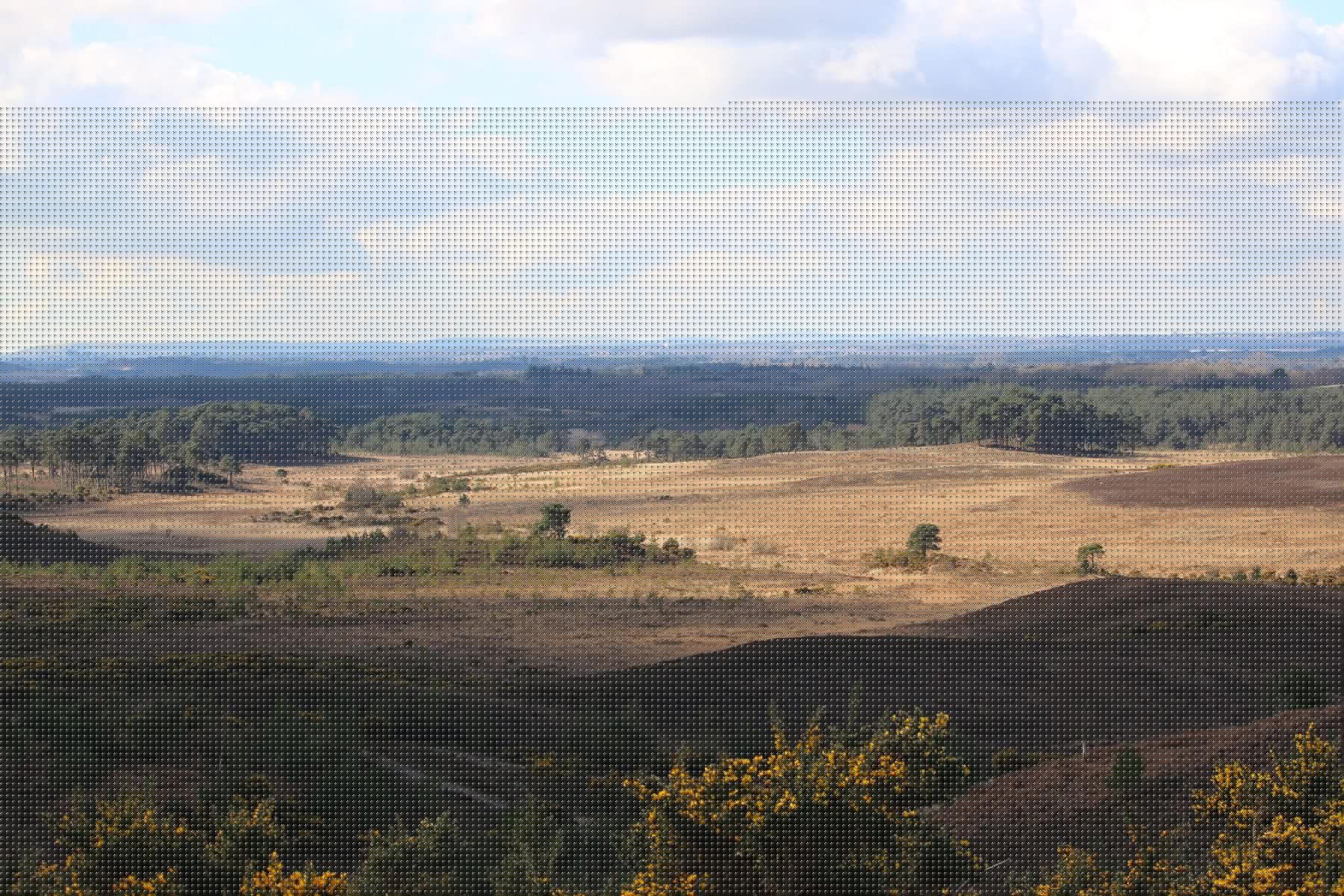 Moorland Association calls for wildfire review of rewilded land