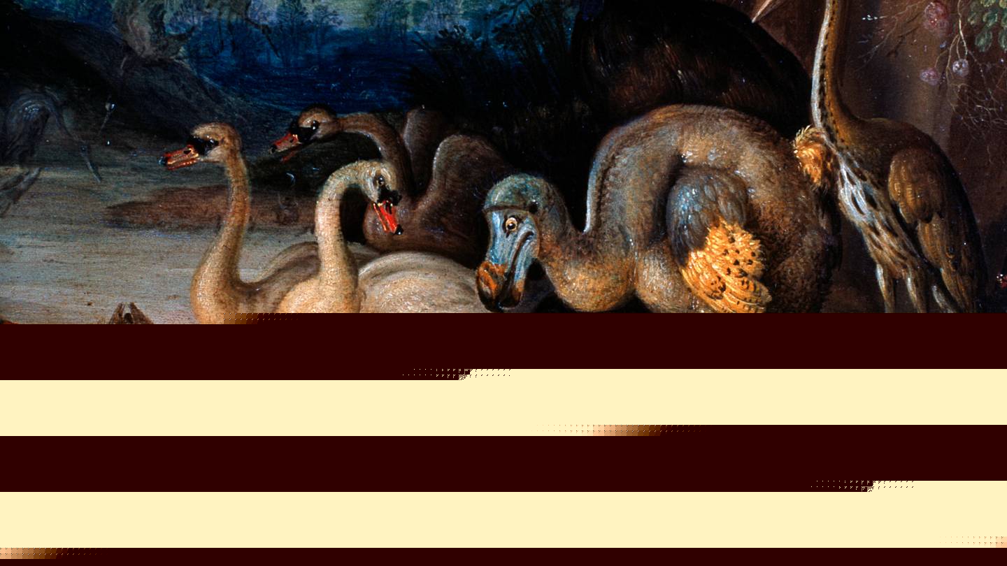 11 Things We Know About the Dodo