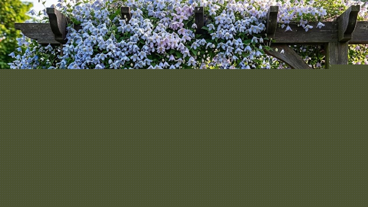 Bare stems: Why your vertical garden is collapsing