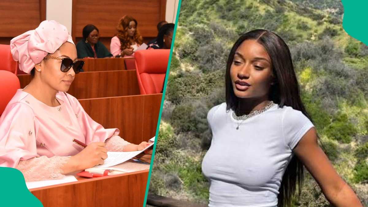 Tension as top senator explains why South Afrocan artist should not be given Nigerian visa