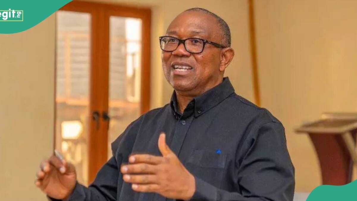 Peter Obi's ambition in jeopardy: Real reason top opposition leader may miss out on ADC ticket for 2027 election