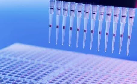 How Do In Vitro ADME Tests Improve Drug Development?