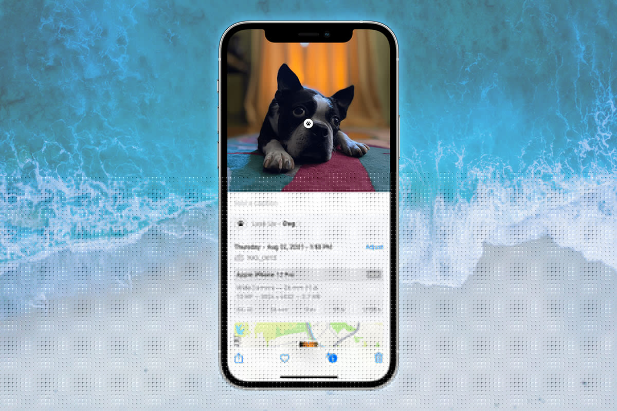 Commenti su Come utilizzare la ricerca visiva per le foto su iPhone di Lillo