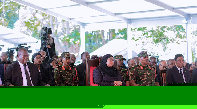Comment on Nation honours icon Msuya by Solototo