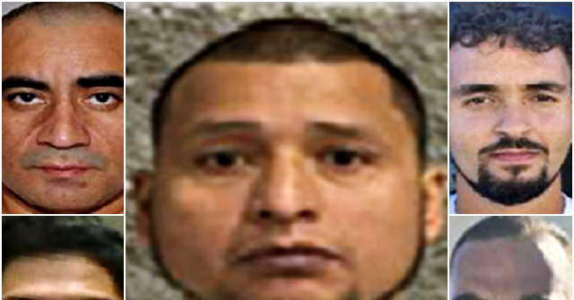 ICE Arrests Pedophile, Rapist, Domestic Abuser During Government Shutdown
