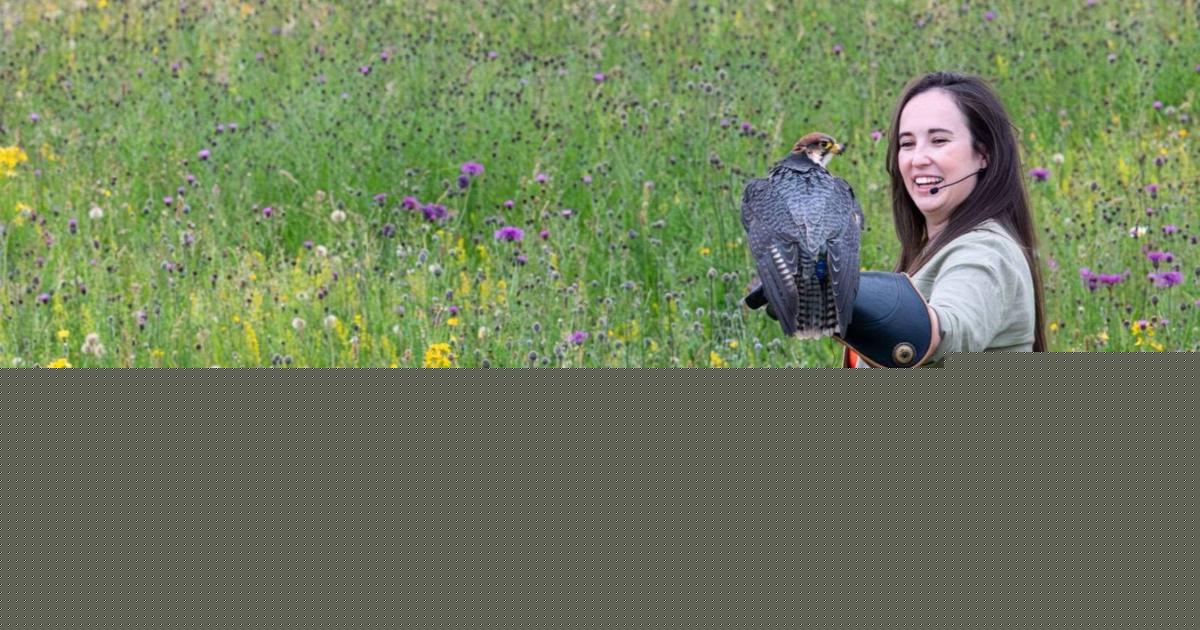 TV zoologist and wildlife influencers to appear at family attraction