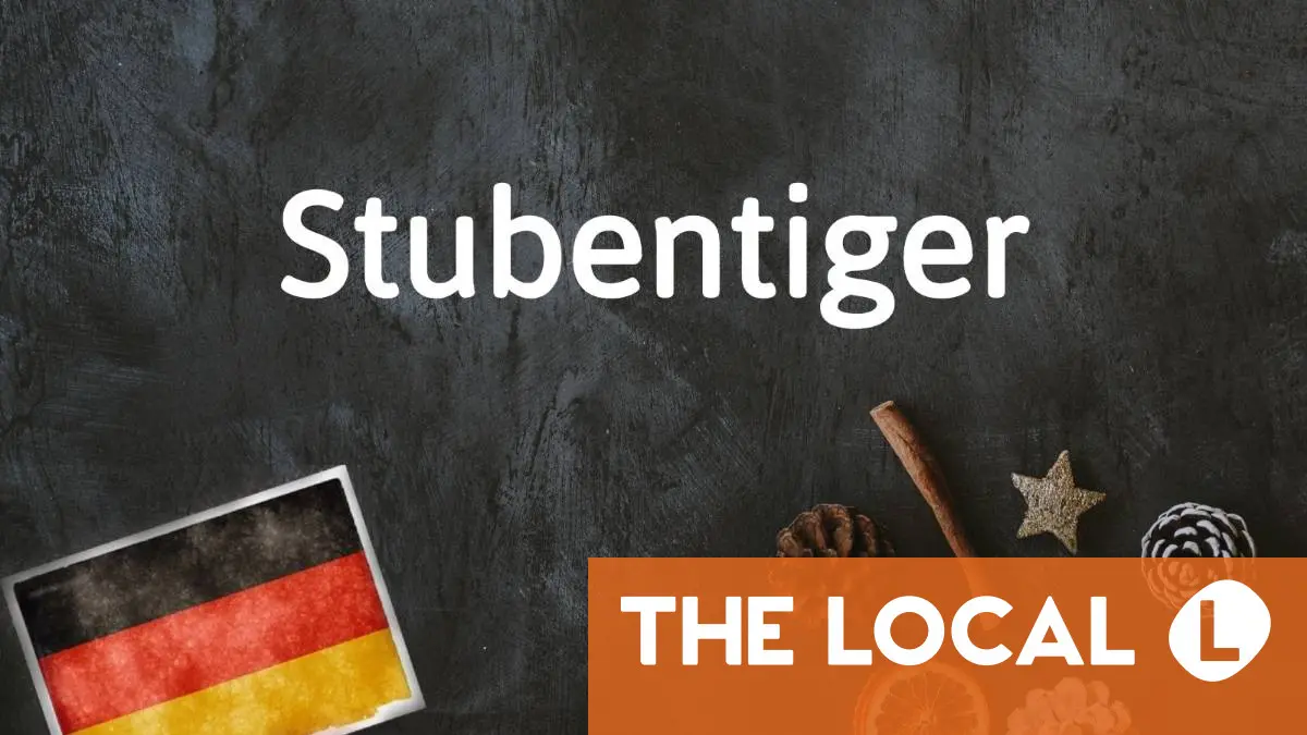 German words you need to know: Stubentiger