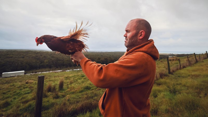 Immune or devastated: New bird flu strain to put huge pressure on native wildlife